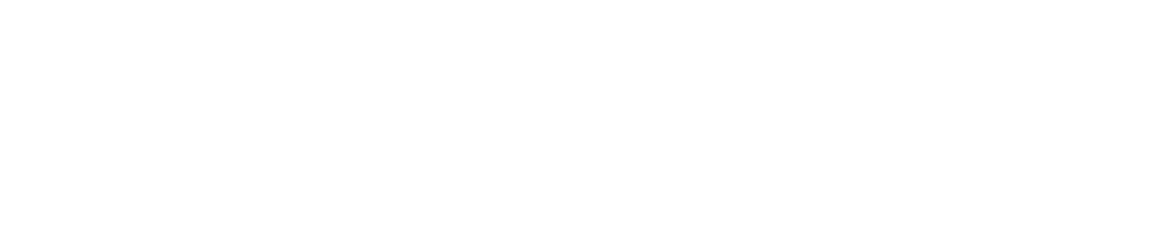 Vittalfy